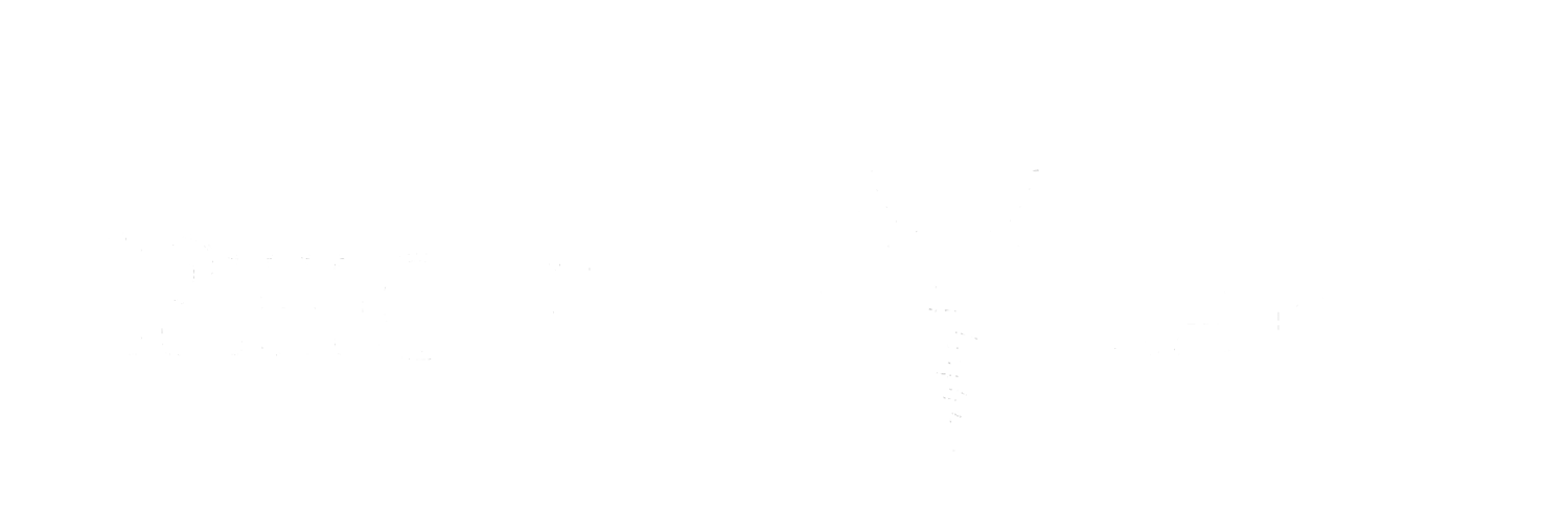 Pheonix logonew